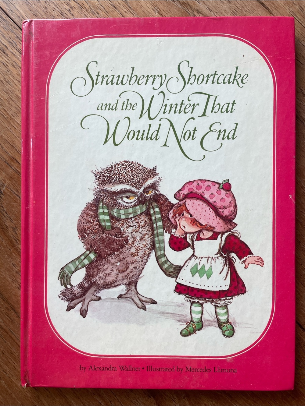 Strawberry Shortcake and the Winter that would not End - hard cover book